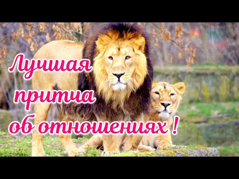 ЛУЧШАЯ ПРИТЧА ОБ ОТНОШЕНИЯХ #мудрыемысли #мудрыеслова #мудрость #мудроевысказывание #доброе
