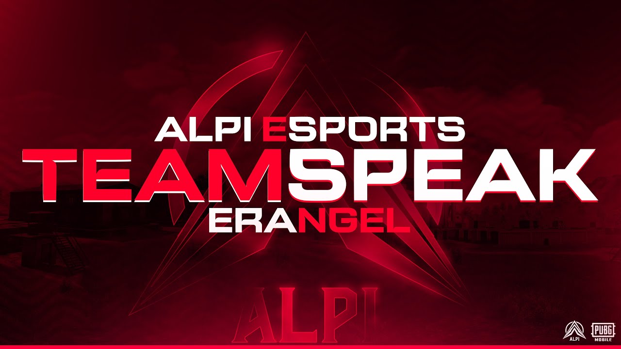 KARINA TOURNAMENT FINAL STAGE Teamspeak | | TEAM ALPI | | DUO WWCD 14 kill