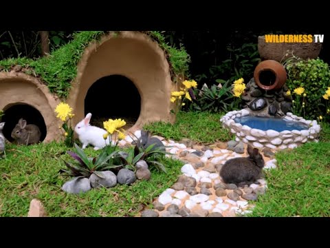 Rescue Rabbit From Meat Serve Place and Build the Bunny Hobbit House