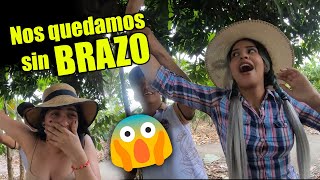 PONEMOS LA MANO EN UN NIDO DE TERMITAS Y LAS FROTAMOS JUNTO A@Luisa Espinoza Y @Kelly Espinoza polit