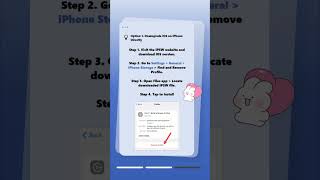 Revert iOS Update on iPhone ⚠ What You Should Know