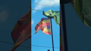 fangone forest flage