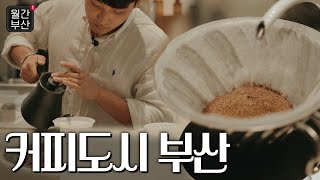 [월간부산] 커피도시로 나아가는 부산🌊 | KBS 230221 방송