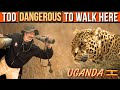 Rule 1 Stay Inside The Safari Vehicle Rule 1 Stay Inside The Safari Vehicle