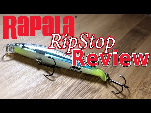 Rapala RipStop Jerkbait Review - Wired2Fish
