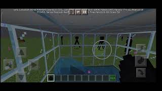 Torturing Enderman's in Minecraft