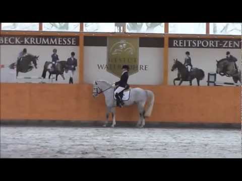 FEI Lübeck-Krummesse - Nazila Natasha Lotz - Petit Marc Aurel