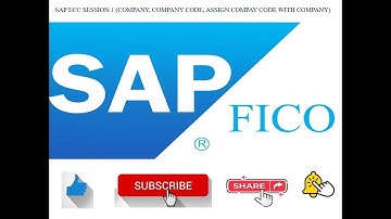 SAP COMPANY, COMPANY CODE, ASSIGN COMPANY CODE WITH COMPANY (SESSION 1)