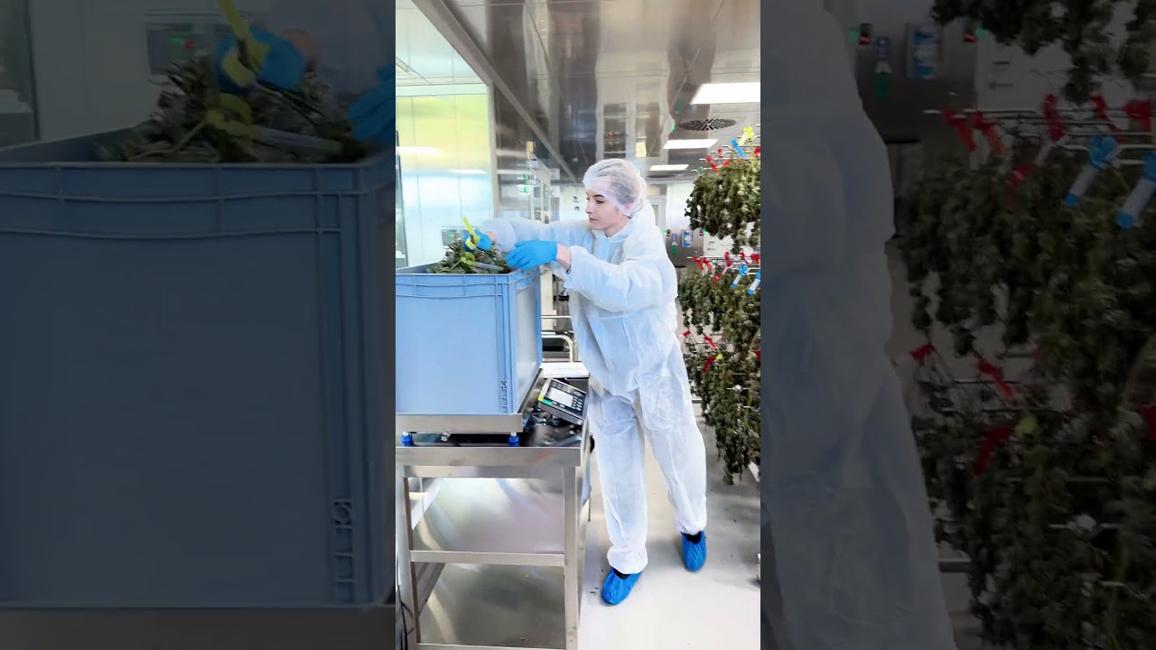 From Drying to Bucking