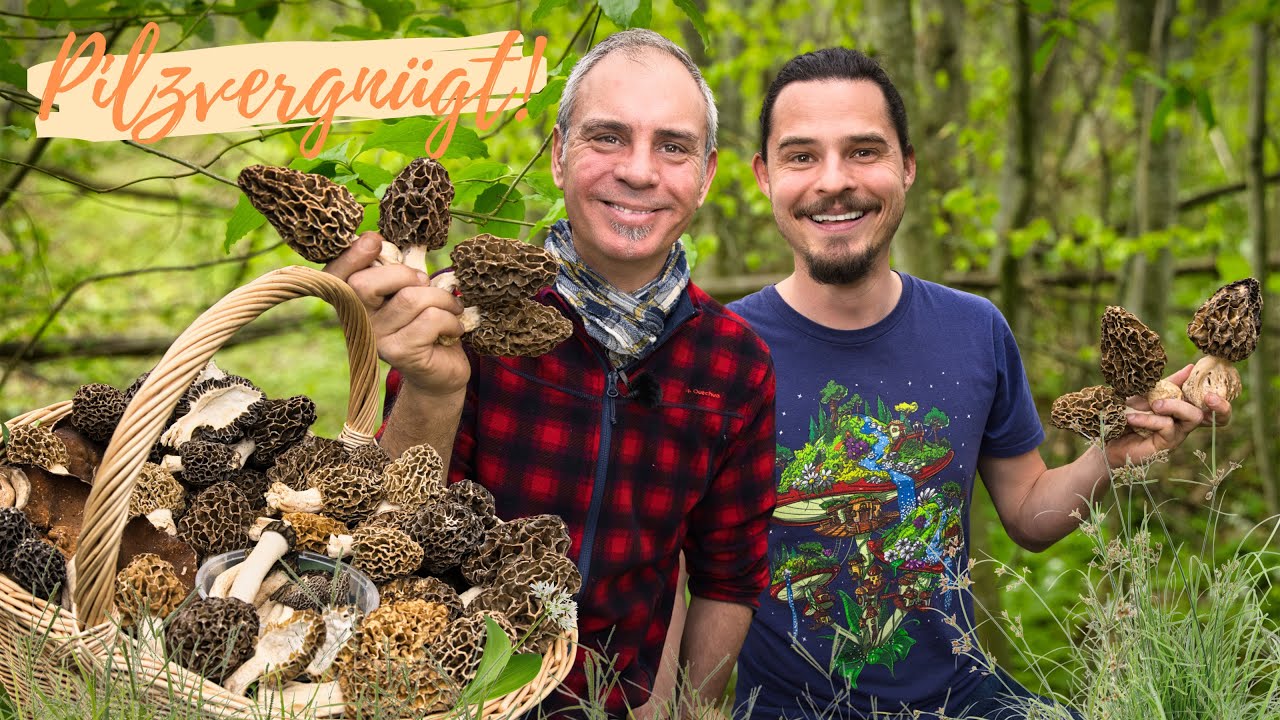 Morchel Traum wird WAHR 😲 Erstmals eine GIGA-Morchel und körbeweise frische Pilze im Frühling 2025!