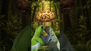 Crapaud VS Grenouille : vous choisissez qui gagne !
