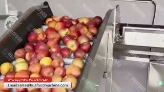 High Precision Apple Fruit Weight Grading And Sorting Machine