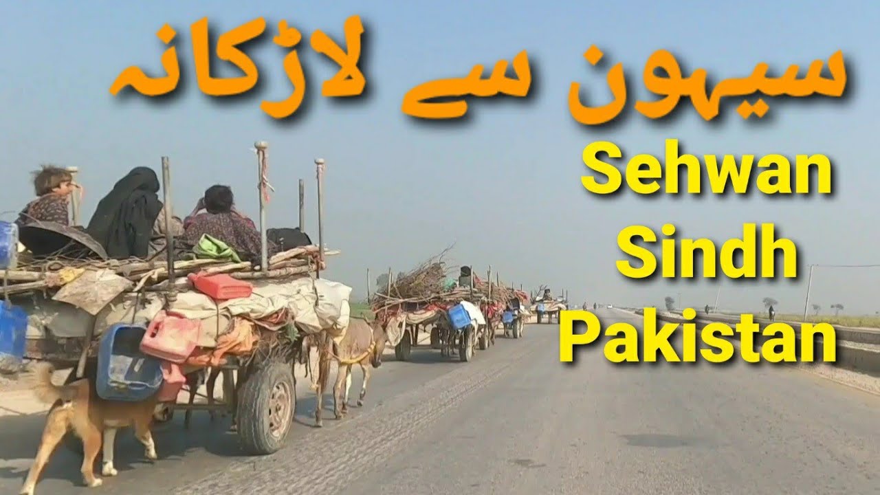 Sehwan to Larkana| Sehwan to Larkana Road Condition| Sehwanto Larkana Road Security|
