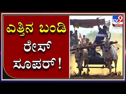 Super Ox Cart Race In Haveri District Byadagi Taluk Motebennuru