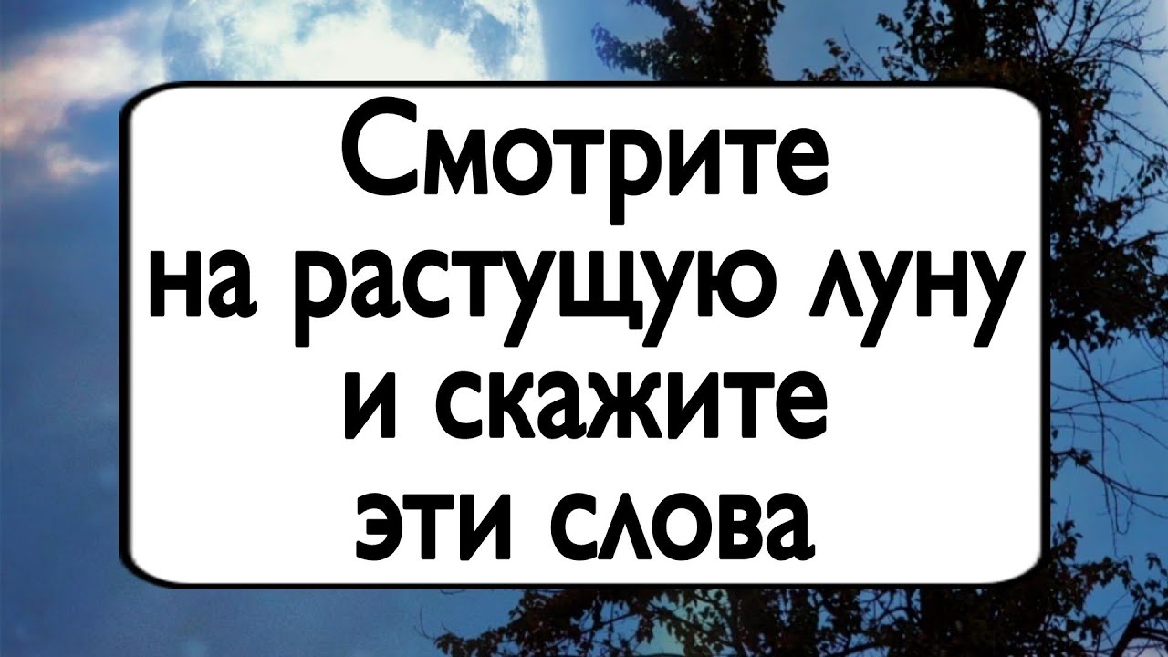 Смотрите на растущую луну и скажите эти слова. | Тайна Жрицы |