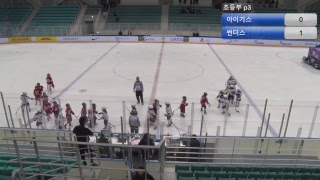 19강릉 U9 U12 U15 하키경기 1월17일