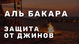 Сура Аль Бакара каждый день защита вас от джинов