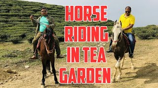 Horse Riding in Tea Garden घोडा  मालिकको  कुराले  हसाउनु हसायो