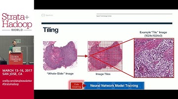Deep Learning For Predicting Breast Cancer Proliferation Scores With Apache SystemML