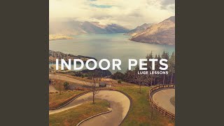 Video thumbnail of "Indoor Pets - Pro Procrastinator"