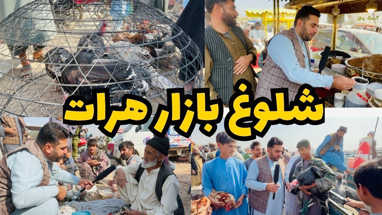 جمعه‌بازار هرات | هرچی بخوایی اینجا پیدا میشه! بخش دوم