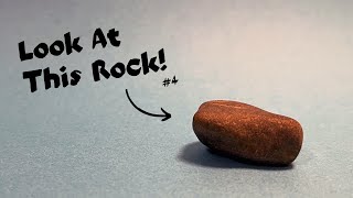 Look At This Rock 4
