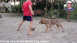 Biệt đội Dog Mun : Tuong chơi đá bóng - Black Dog squad : Tuong plays soccer. @ .