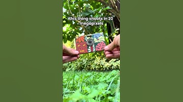 🌱 Sustainable Design at the Heart of Paper Shoot 🌱