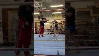 2019060303 toellgym.com