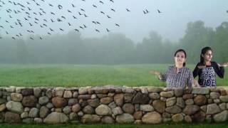 Meaning Of Flapping