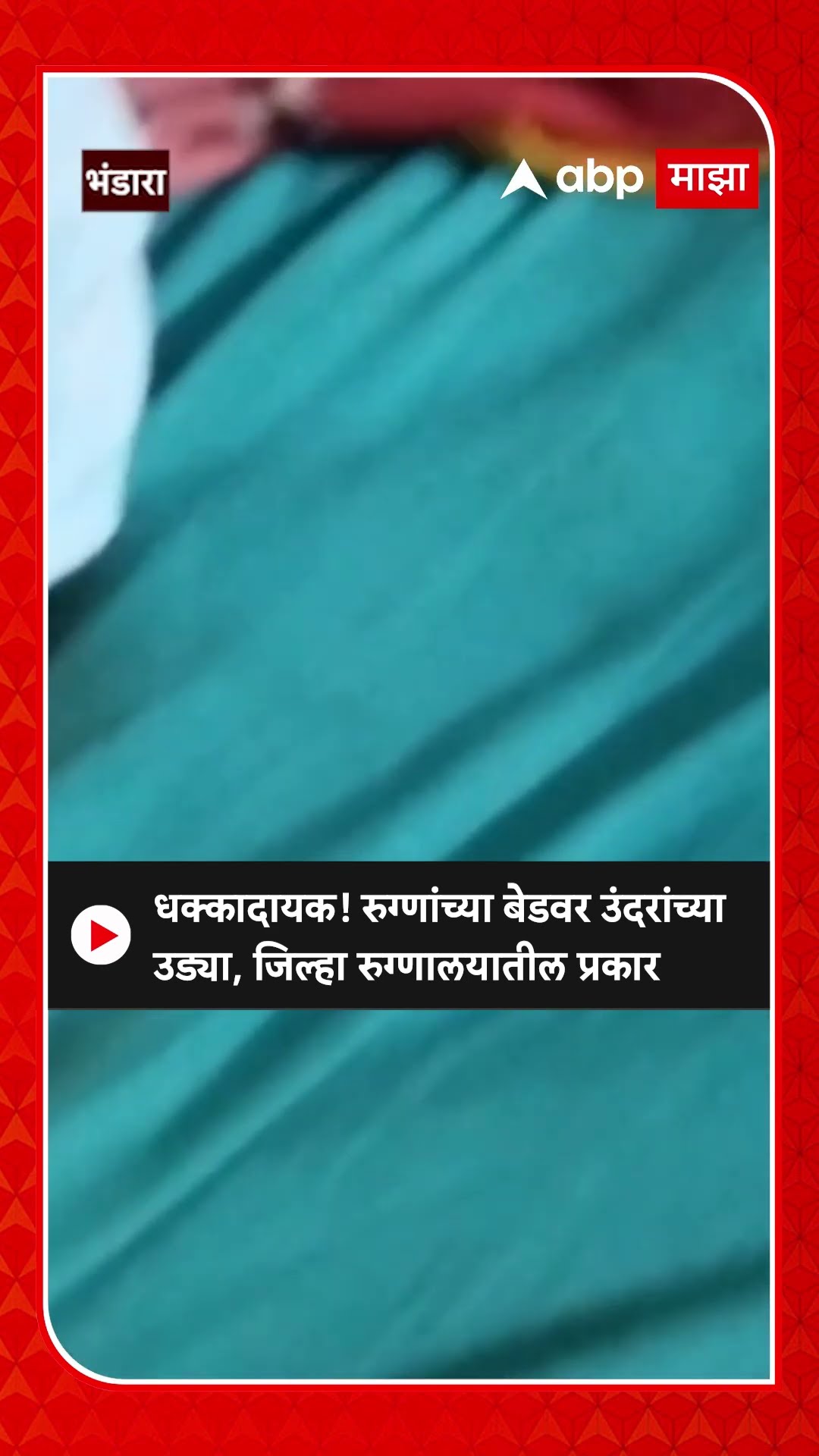 Bhandara Hospital Rat News:रुग्णांच्या बेडवरचं उंदरांच्या उड्या,जिल्हा रुग्णालयातील धक्कादायक प्रकार