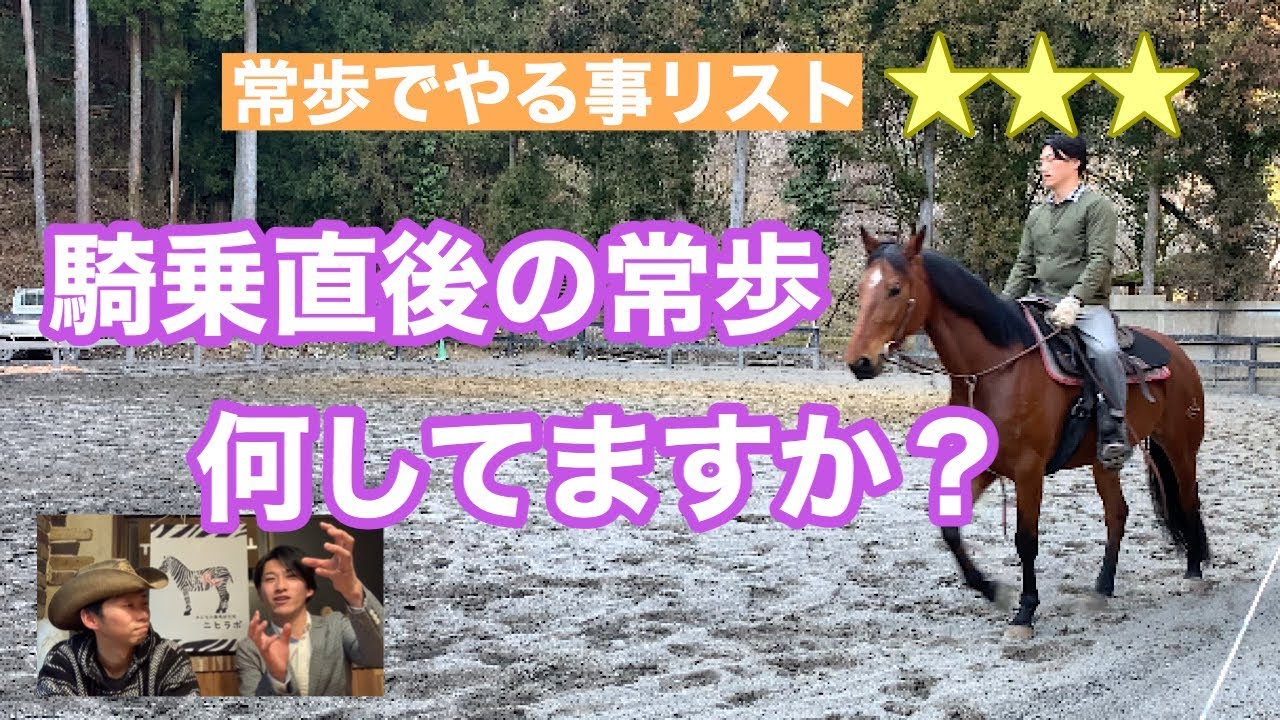 113.常歩でやる事リスト 騎乗直後のウォーミングアップ