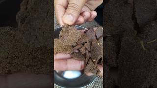 खल से कैसे बढ़ता है पौधा?🪴#gardeningtips #growth #natural #farming