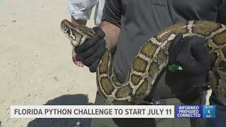 Wildlife officials share details on this year's Florida Python Challenge