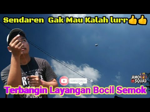 Layangan  Kecil Tapi Sendaren JOSS Lurr👍👍 || Layangan Bocil Semok