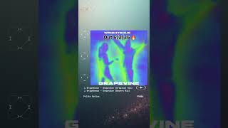 Wrighteous - Grapevine (Out 6/2/26)🔥#housemusic #techhouse #djproducer #electronicmusic #deephouse