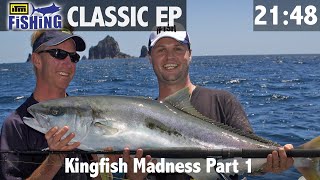 Yellowtail Kingfish Madness Part 1