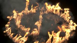 Phoenix FD: Growing Fire RnD
