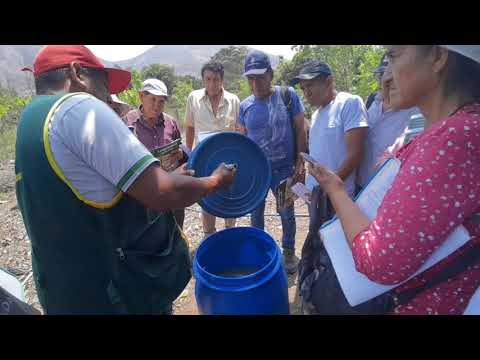 Video: Usar Desechos De Pescado Como Fertilizante