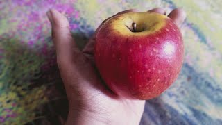 কি খাই আমরা!!! | জাদুঘরে রাখার মতো একটি আপেল | Apple | fruit by TI Timu 47 views 1 month ago 1 minute, 56 seconds