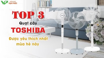 Top 3 quạt cây Toshiba đang được nhiều khách hàng sử dụng nhất