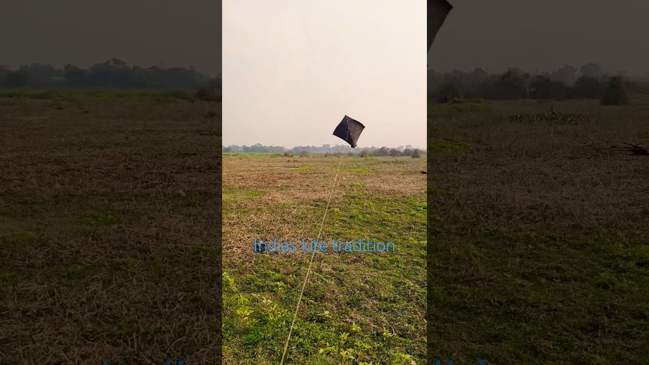 Black addhi kite flying