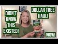 DOLLAR TREE HAUL | Didn’t Know This Existed! | WOW | LOVE DT☀️ #haul #dollartree #dollartreehaul  Mp3 Song