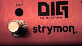 Strymon DIG vs El Capistan test PL