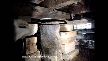 Termite Damaged Stumps - Building Inspections Brisbane