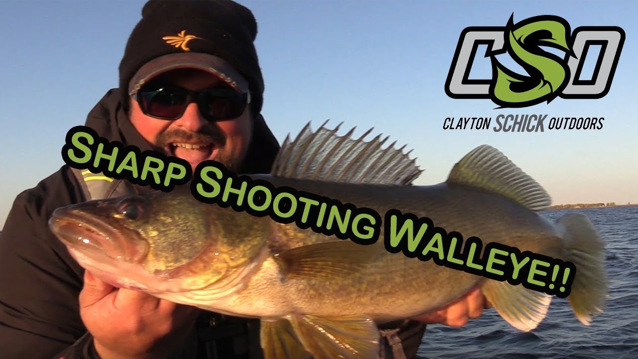 Jigging Rap Walleye!! YouTube
