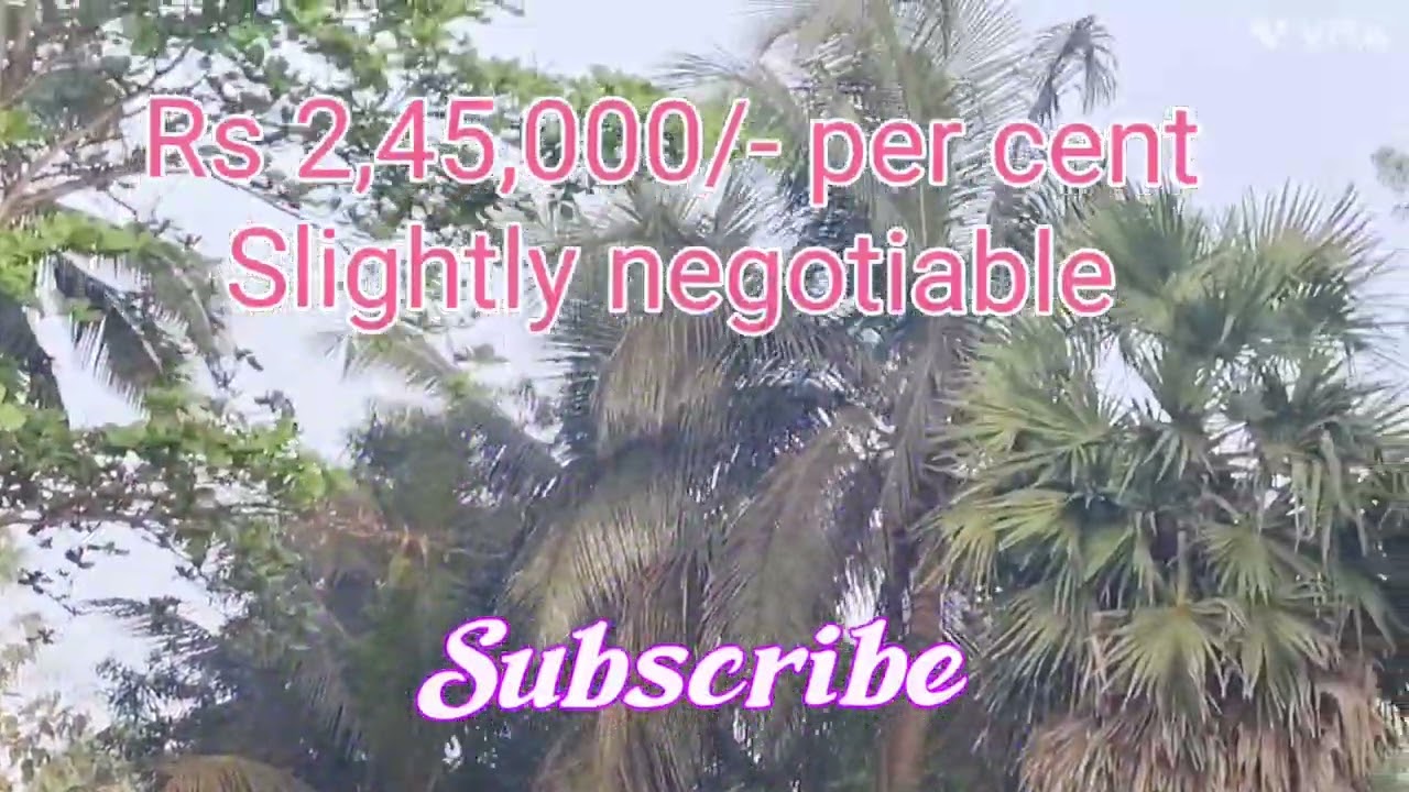 Ad No:160. 15 Cent land for sales near ECR Edaikazhinadu Kadapakkam Beach 