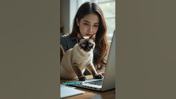 Why Do Cats Always Block Your Path? 😂