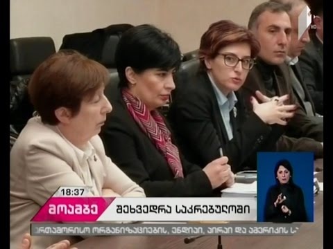 საკრებულოს ოპოზოციური ფრაქციების შეხვედრა საერთაშორისო ორგანიზაციებთან და დიპლომატებთან