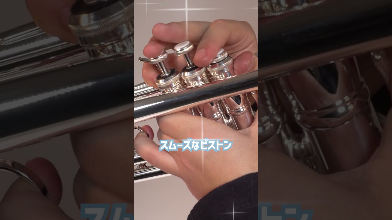 PLAYTECH / PTTR-300SII #SoundHouse #PLAYTECH #WindInstruments